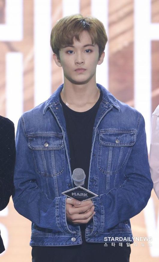 스타데일리뉴스