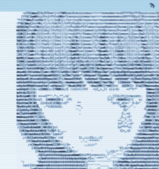 스타데일리뉴스