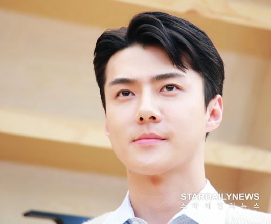 스타데일리뉴스