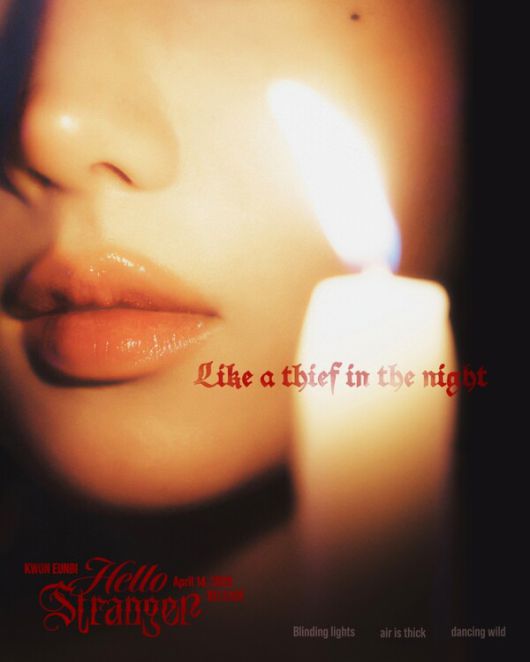 스타데일리뉴스