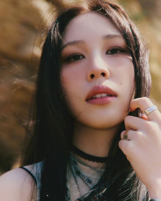 스타데일리뉴스