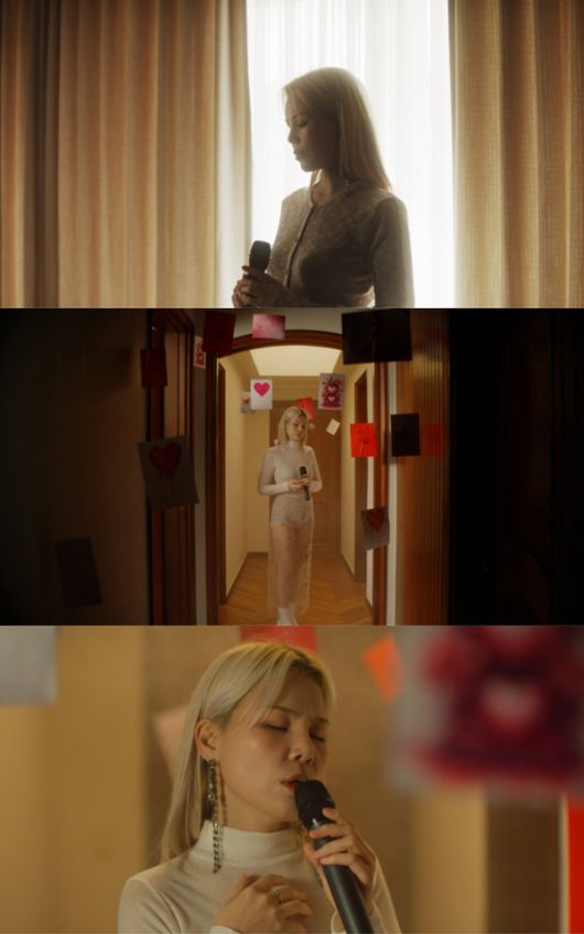 스타데일리뉴스