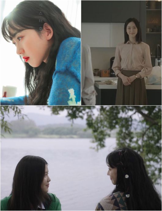 스타데일리뉴스