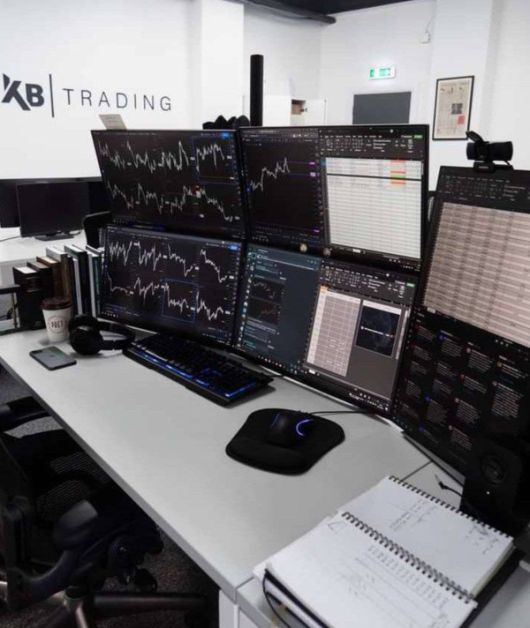 스타데일리뉴스