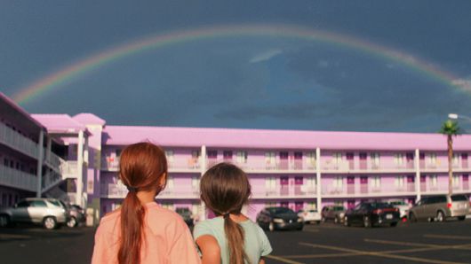 스타데일리뉴스