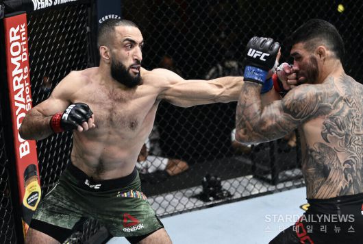 스타데일리뉴스