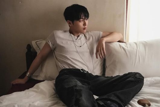 스타데일리뉴스