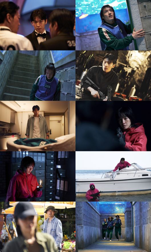 스타데일리뉴스