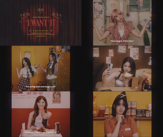 스타데일리뉴스