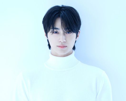 스타데일리뉴스