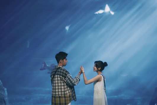 스타데일리뉴스