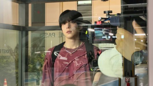 스타데일리뉴스