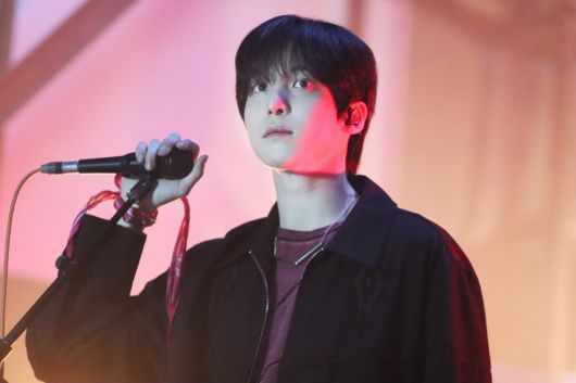 스타데일리뉴스