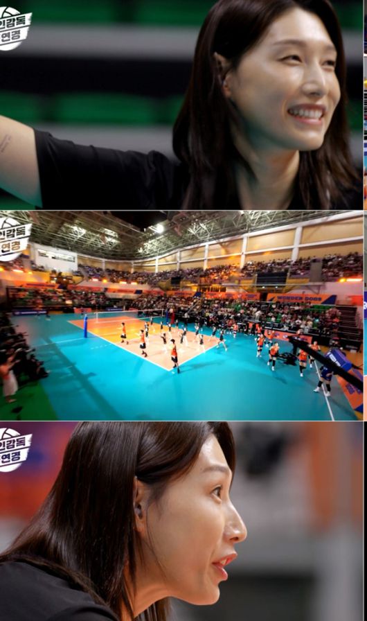 스타데일리뉴스