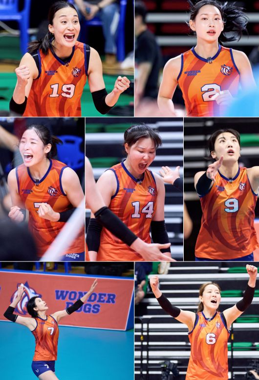 스타데일리뉴스