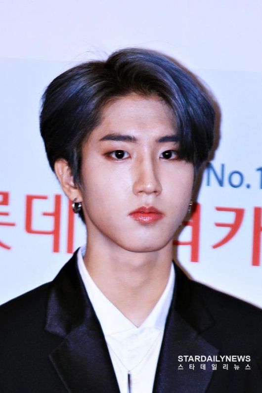 스타데일리뉴스