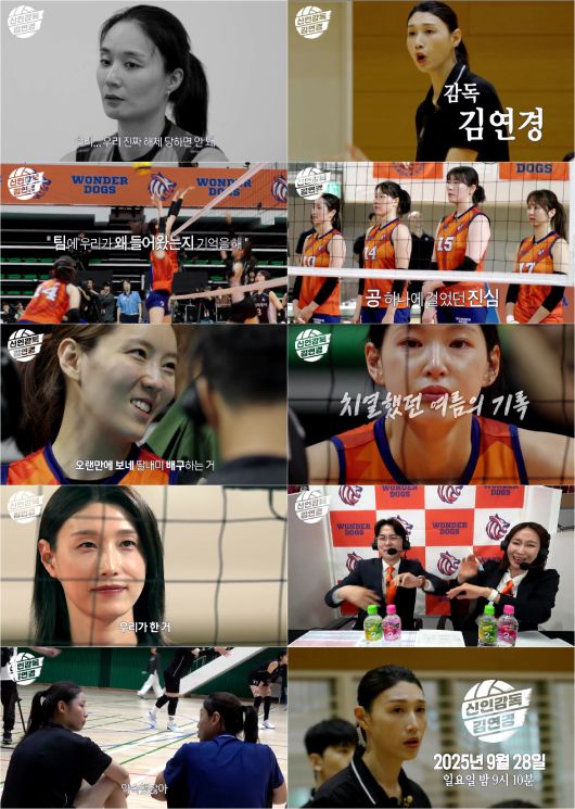 스타데일리뉴스