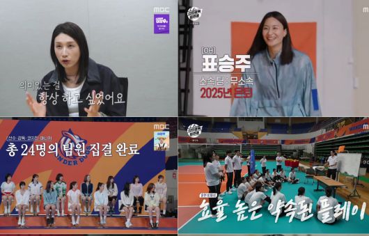 스타데일리뉴스