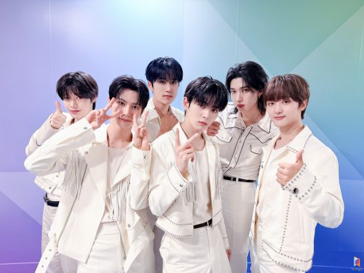 스타데일리뉴스