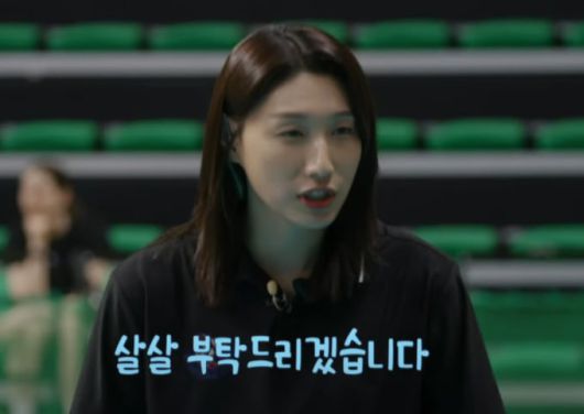 스타데일리뉴스