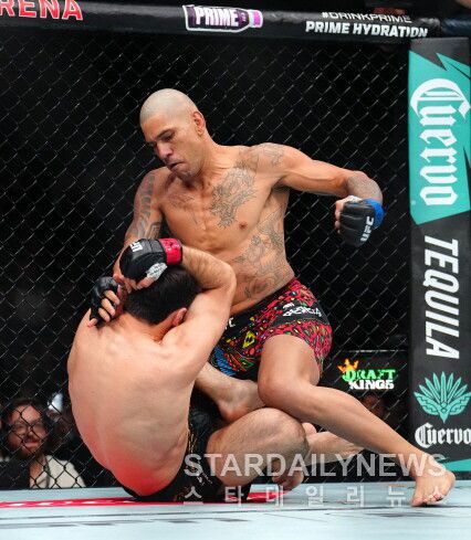 스타데일리뉴스