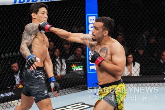 스타데일리뉴스