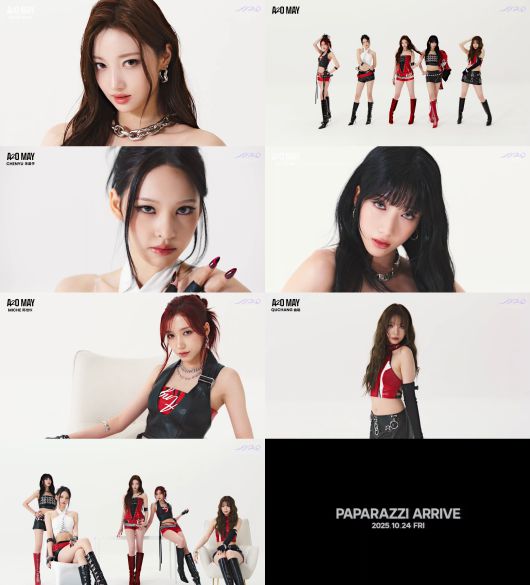 스타데일리뉴스