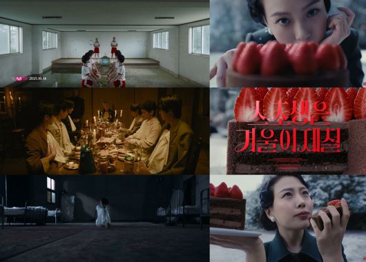 스타데일리뉴스