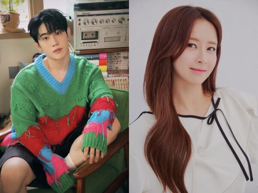 스타데일리뉴스