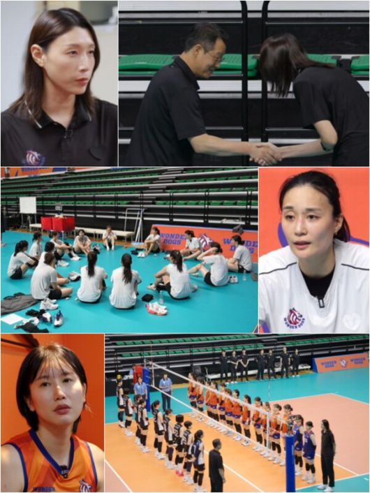 스타데일리뉴스