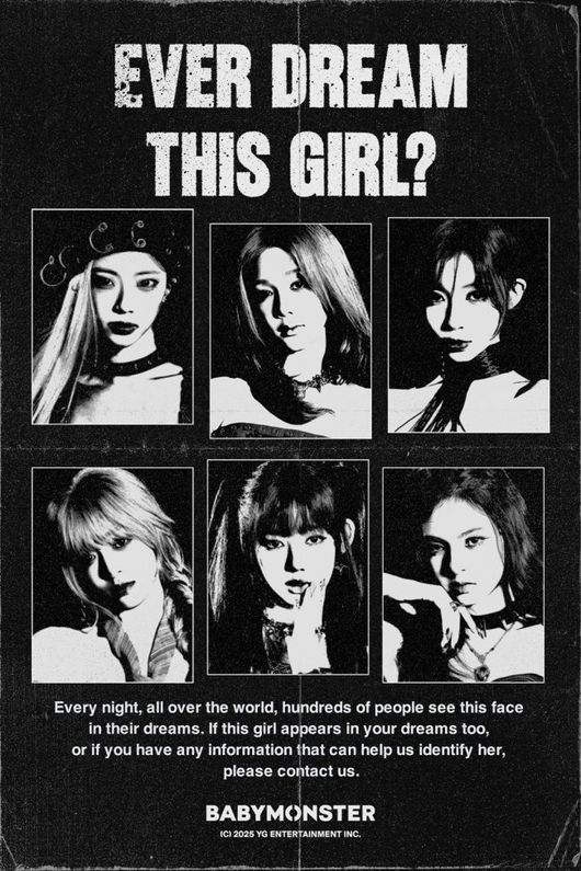 스타데일리뉴스