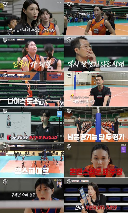 스타데일리뉴스