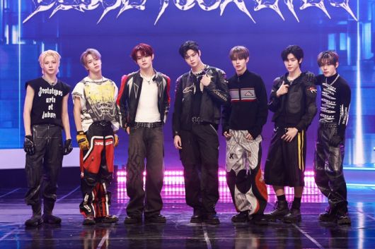 스타데일리뉴스