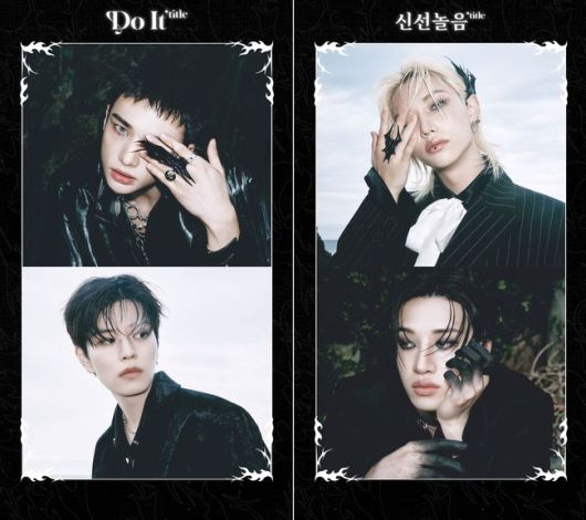 스타데일리뉴스