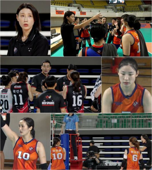 스타데일리뉴스