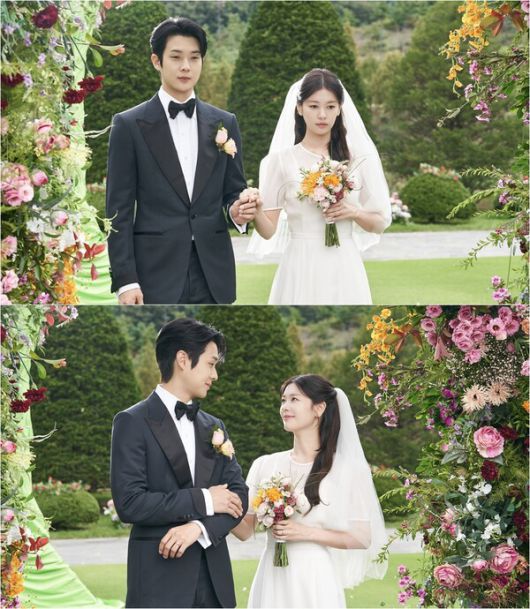 스타데일리뉴스