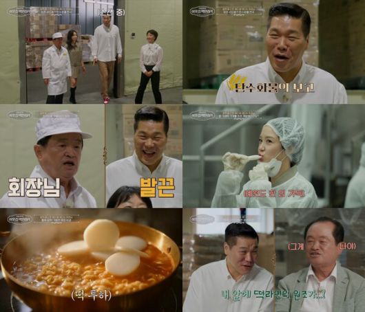 스타데일리뉴스