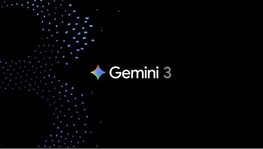 스타데일리뉴스