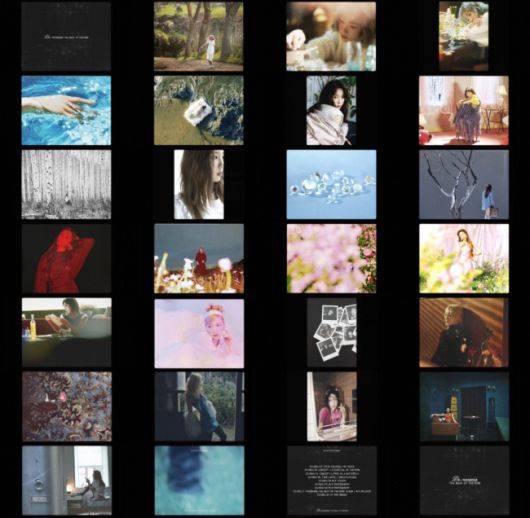 스타데일리뉴스