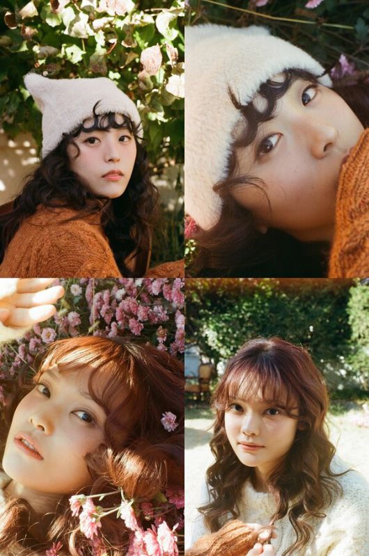 스타데일리뉴스