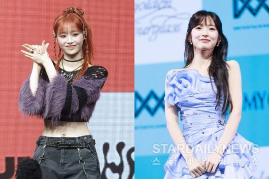 스타데일리뉴스