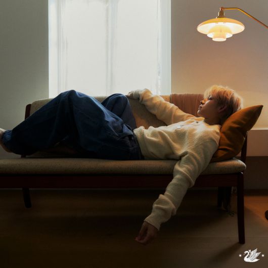 스타데일리뉴스