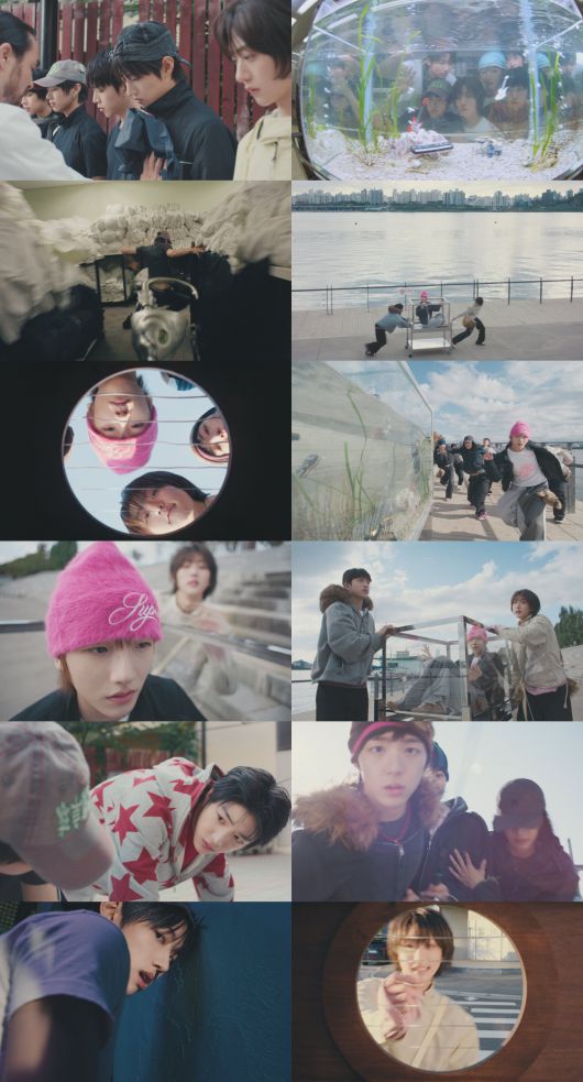 스타데일리뉴스