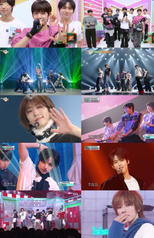 스타데일리뉴스