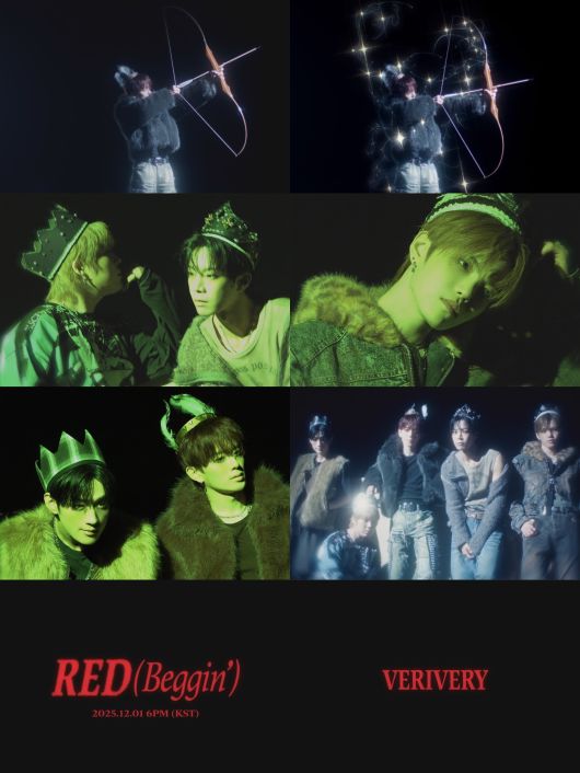 스타데일리뉴스