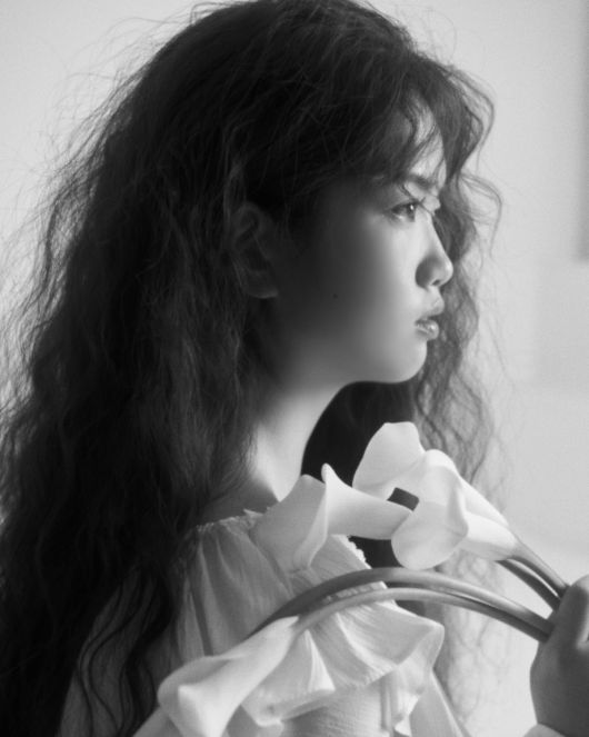 스타데일리뉴스