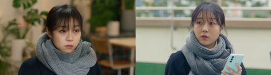 스타데일리뉴스