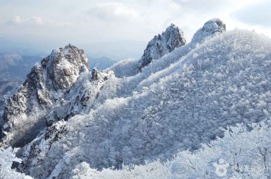 스타데일리뉴스