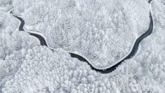 스타데일리뉴스