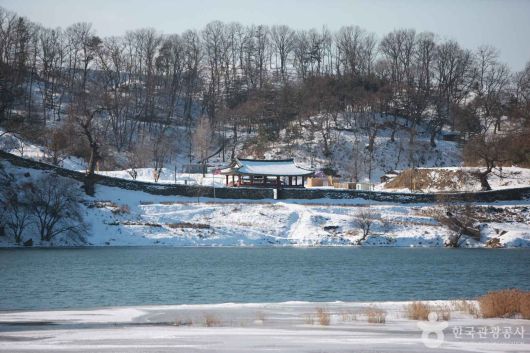 스타데일리뉴스